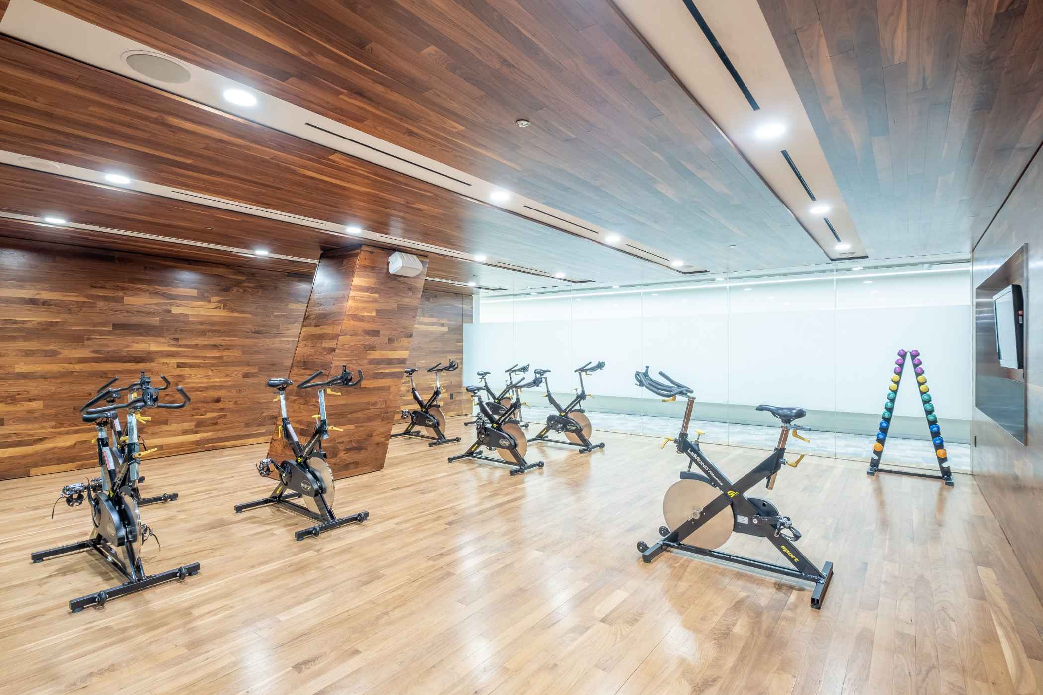 intro gallery image7